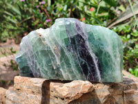 Polished On One Side Watermelon Fluorite Slices x 3 From Uis, Namibia