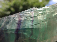 Polished On One Side Watermelon Fluorite Slices x 3 From Uis, Namibia
