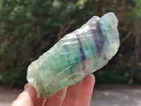 Polished On One Side Watermelon Fluorite Slices x 3 From Uis, Namibia