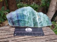 Polished On One Side Watermelon Fluorite Slices x 3 From Uis, Namibia