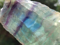Polished On One Side Watermelon Fluorite Slices x 3 From Uis, Namibia