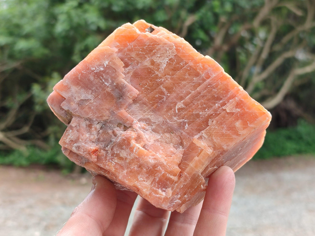 Natural Sunset Orange Calcite Specimens x 4 From Spitzkop, Namibia