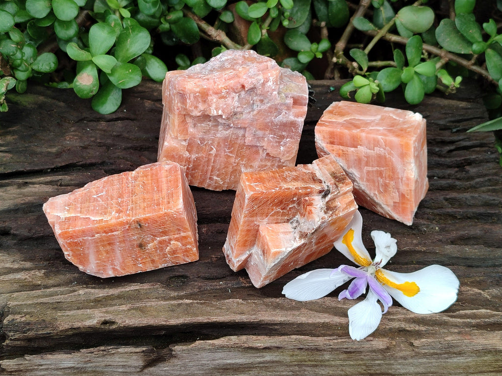 Natural Sunset Orange Calcite Specimens x 4 From Spitzkop, Namibia