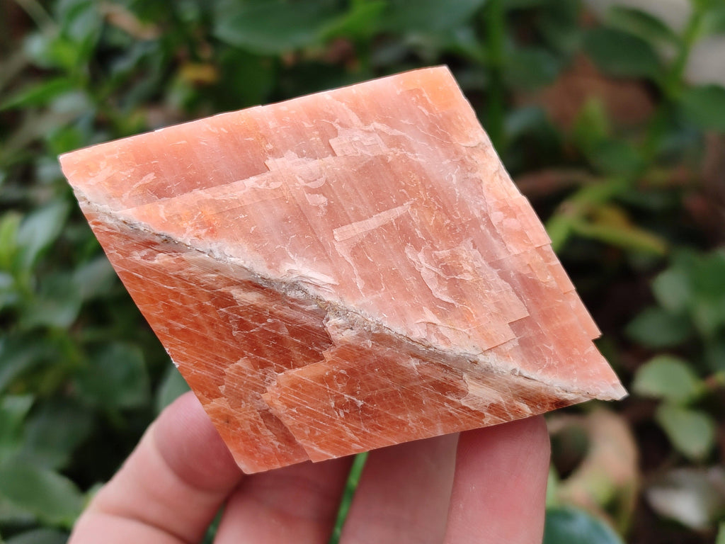Natural Sunset Orange Calcite Specimens x 4 From Spitzkop, Namibia