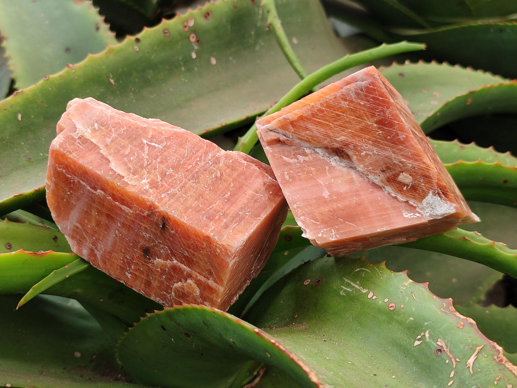 Natural Sunset Orange Calcite Specimens x 4 From Spitzkop, Namibia