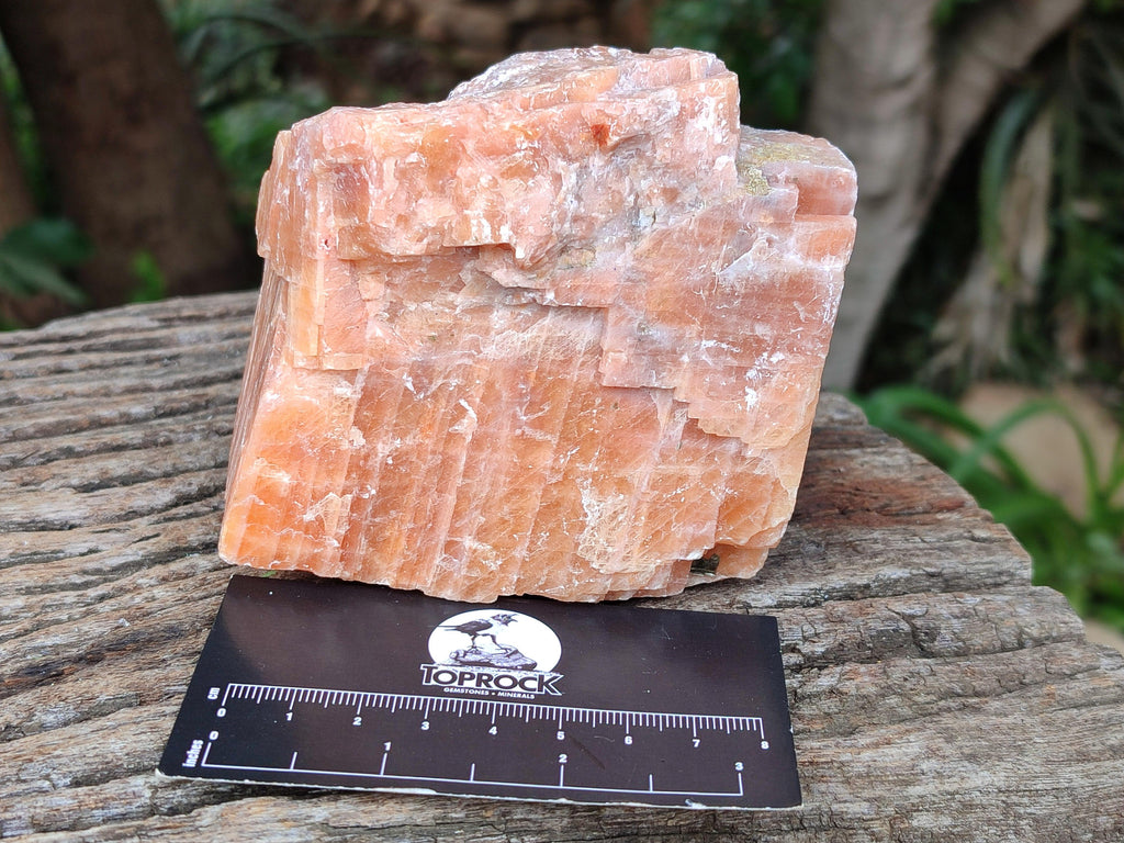 Natural Sunset Orange Calcite Specimens x 4 From Spitzkop, Namibia