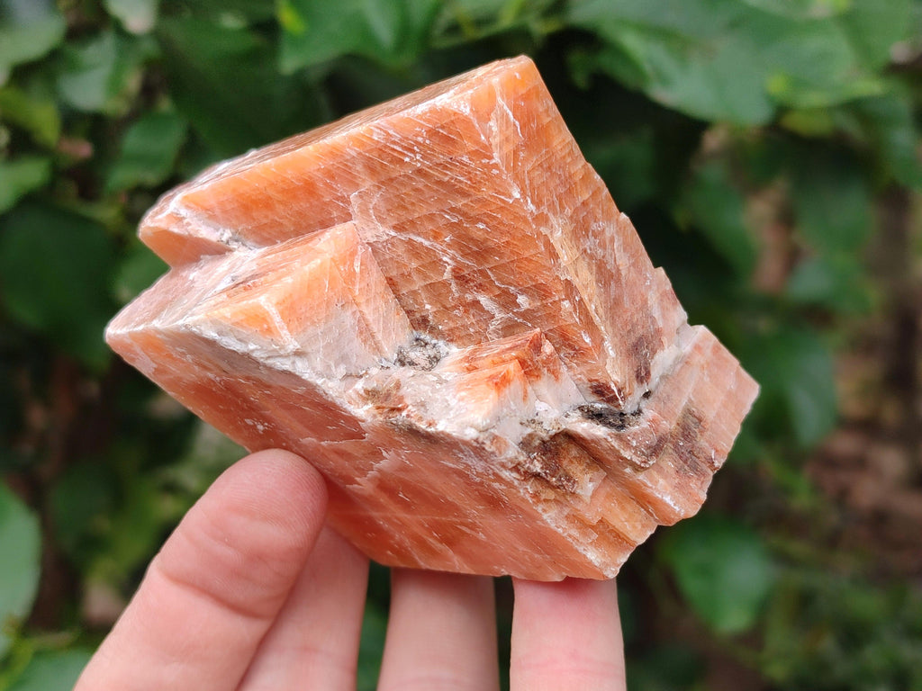 Natural Sunset Orange Calcite Specimens x 4 From Spitzkop, Namibia