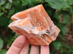 Natural Sunset Orange Calcite Specimens x 4 From Spitzkop, Namibia