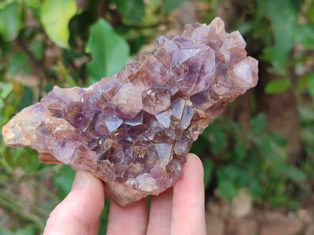 Natural Amethyst Agate Geodes x 12 From Zululand, South Africa