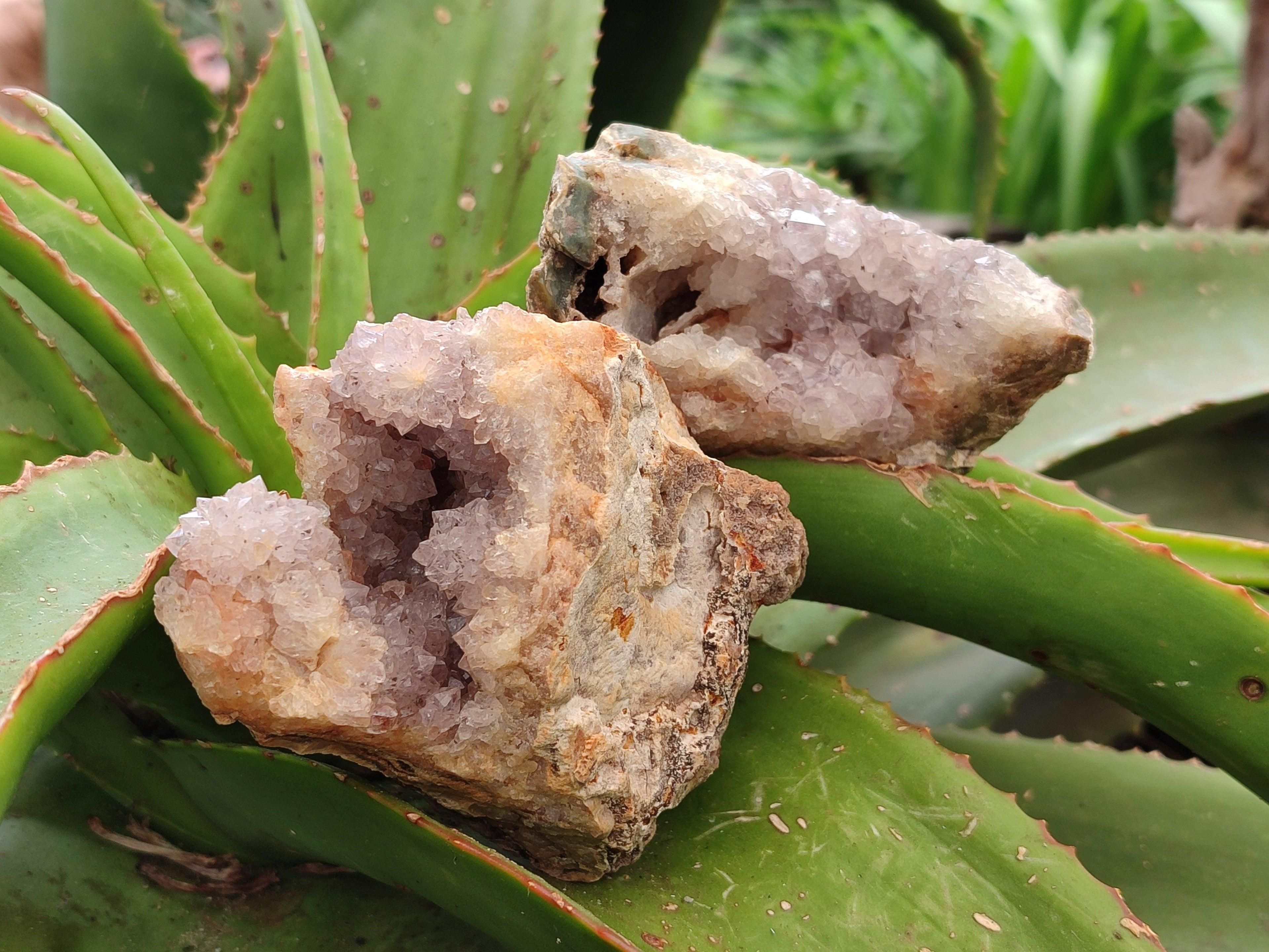 Natural Amethyst Agate Geodes x 12 From Zululand, South Africa