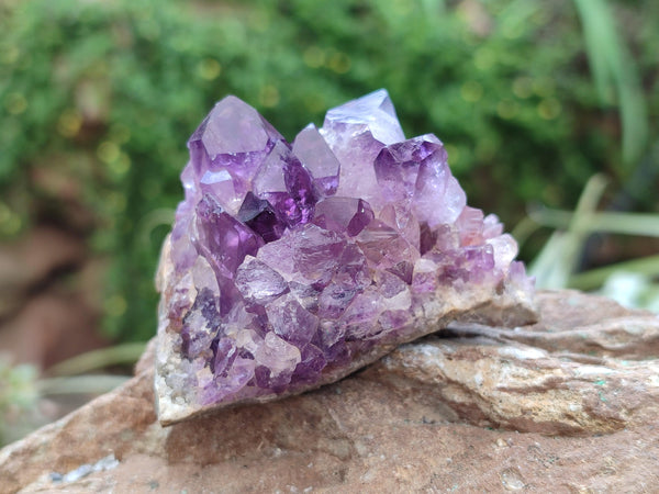 Natural Amethyst Agate Geodes x 12 From Zululand, South Africa