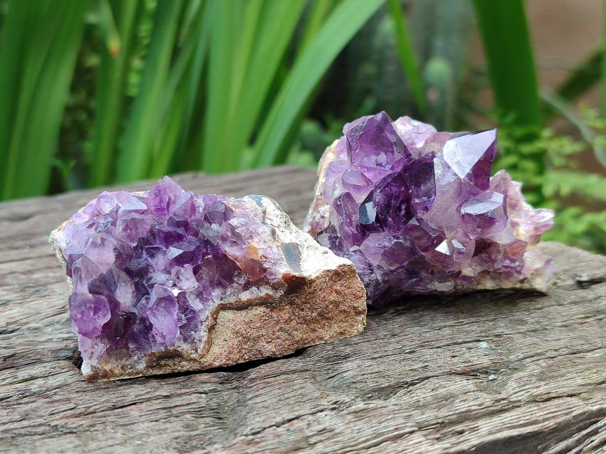Natural Amethyst Agate Geodes x 12 From Zululand, South Africa