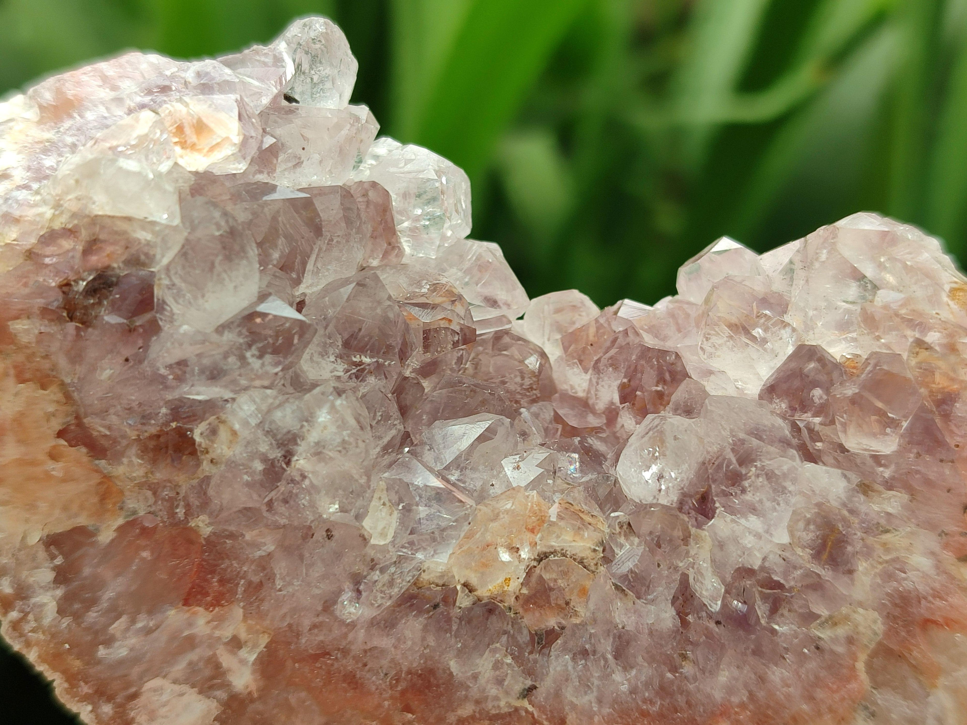 Natural Amethyst Agate Geodes x 12 From Zululand, South Africa