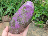 Polished Stichtite Standing Free Forms x 3 From Barberton, South Africa