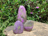 Polished Stichtite Standing Free Forms x 3 From Barberton, South Africa