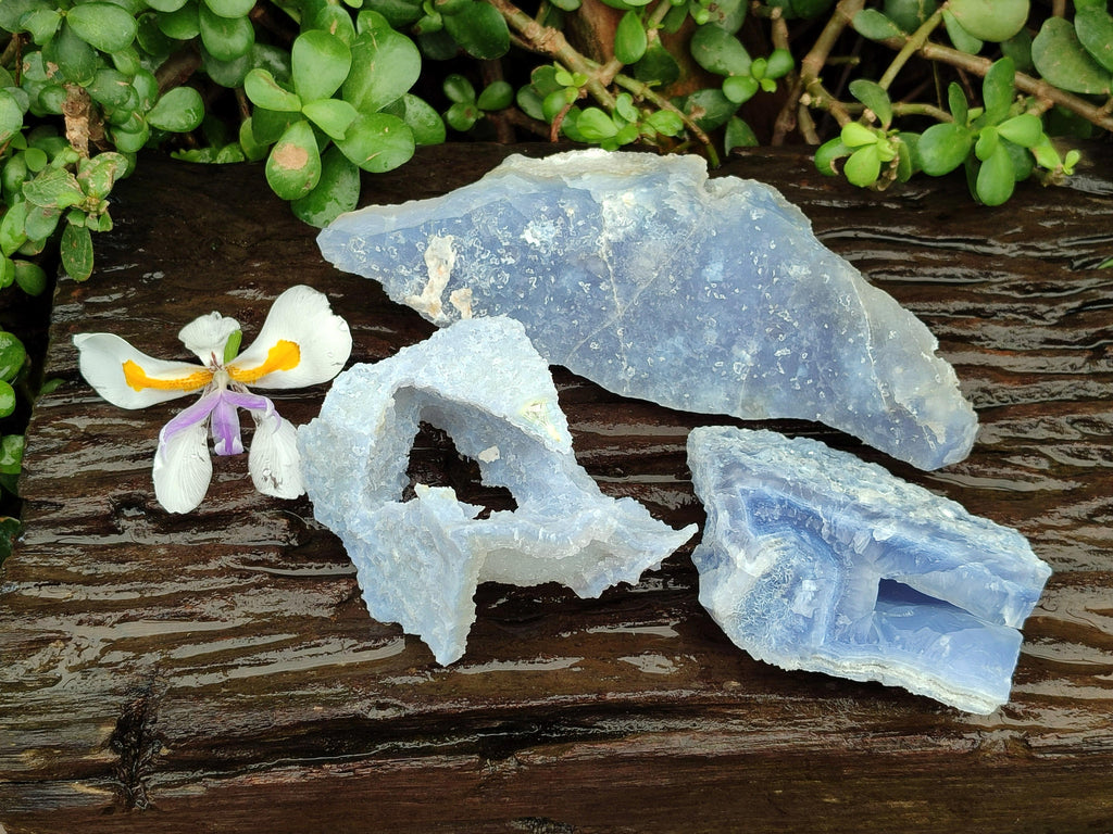 Natural Etched Blue Chalcedony Geodes x 3 From Nsanje, Malawi - Toprock Gemstones and Minerals 
