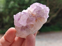 Natural Sunburst Amethyst Spirit Clusters x 20 From Boekenhouthoek, South Africa