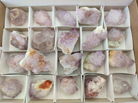Natural Sunburst Amethyst Spirit Clusters x 20 From Boekenhouthoek, South Africa