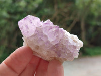 Natural Sunburst Amethyst Spirit Clusters x 20 From Boekenhouthoek, South Africa