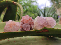 Natural Sunburst Amethyst Spirit Clusters x 20 From Boekenhouthoek, South Africa