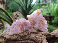 Natural Sunburst Amethyst Spirit Clusters x 20 From Boekenhouthoek, South Africa