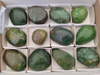 Polished Verdite Palm Stones x 12 From Zimbabwe