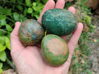 Polished Verdite Palm Stones x 12 From Zimbabwe