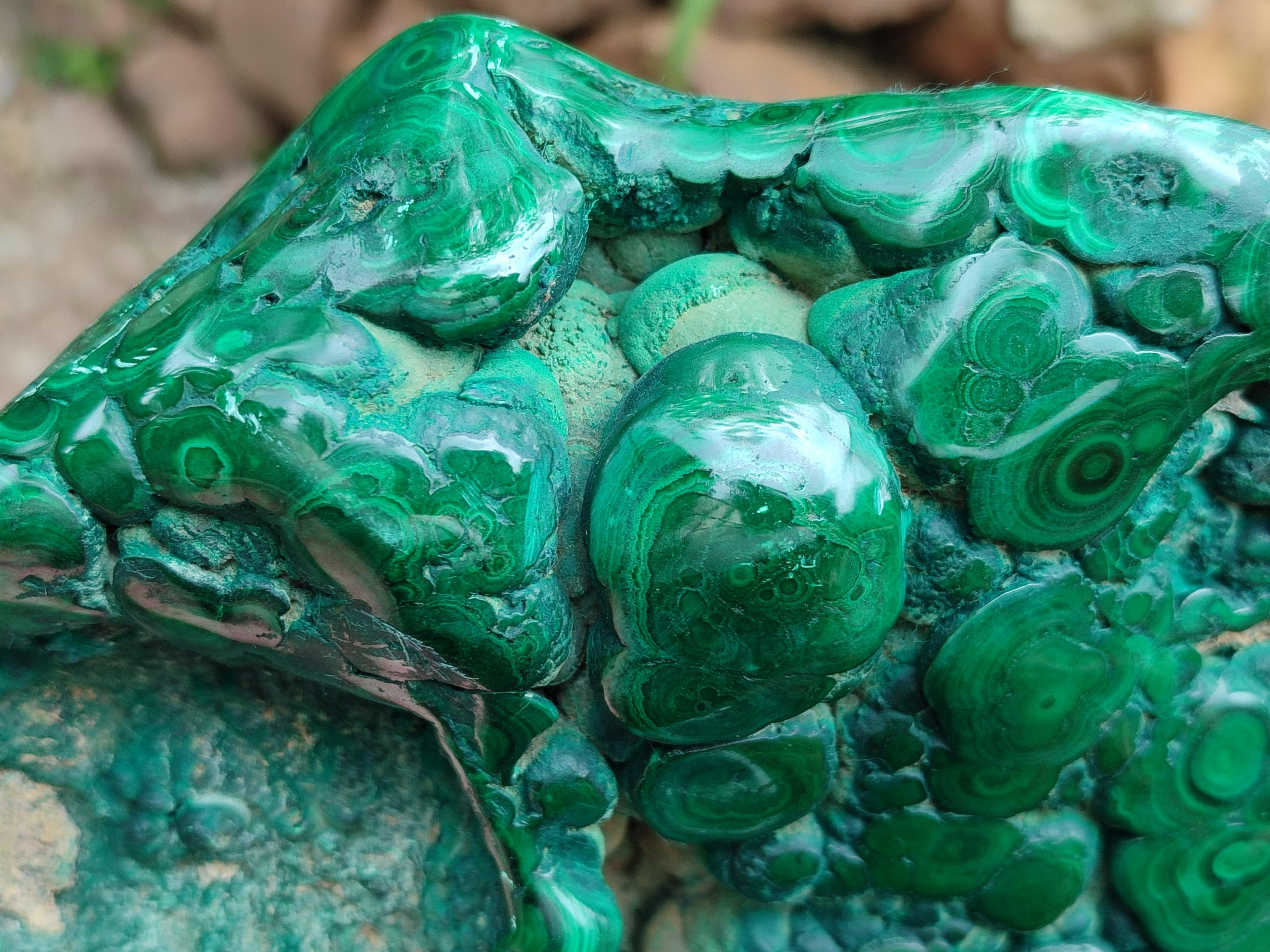 Polished Flower Banded Malachite Free Form x 1 From Congo