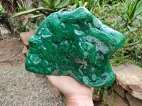 Polished Flower Banded Malachite Free Form x 1 From Congo