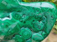 Polished Flower Banded Malachite Free Form x 1 From Congo