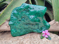 Polished Flower Banded Malachite Free Form x 1 From Congo