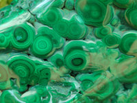 Polished Flower Banded Malachite Free Form x 1 From Congo