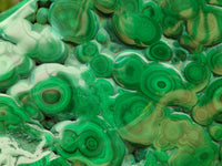Polished Flower Banded Malachite Free Form x 1 From Congo
