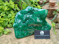 Polished Flower Banded Malachite Free Form x 1 From Congo