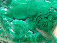 Polished Flower Banded Malachite Free Form x 1 From Congo