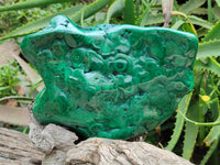 Polished Flower Banded Malachite Free Form x 1 From Congo