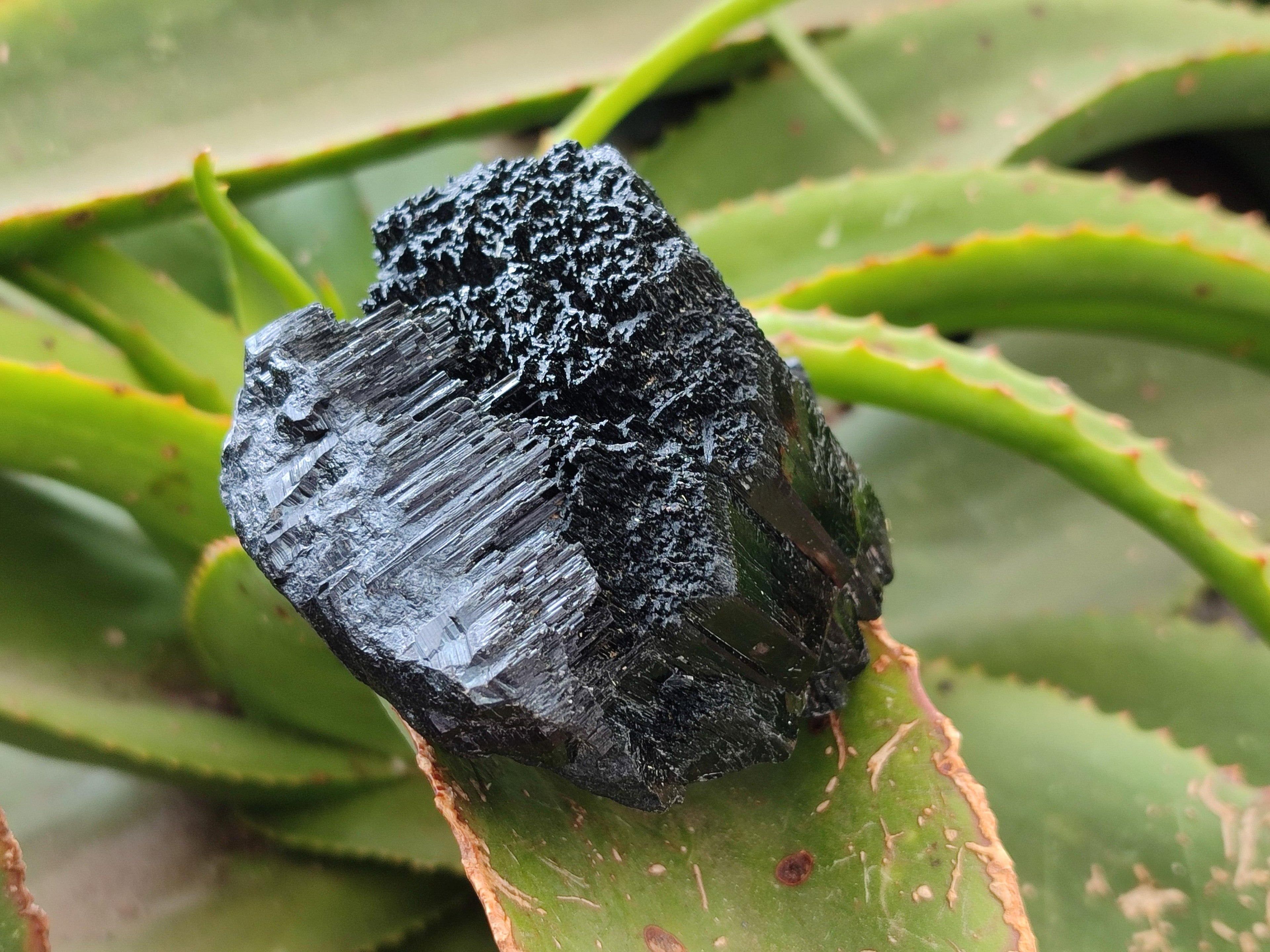 Natural Schorl Black Tourmaline Specimens x 3 From Erongo, Namibia