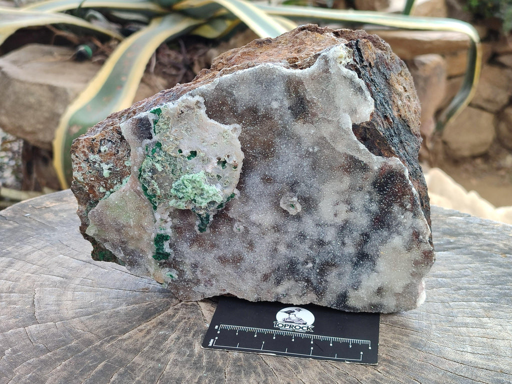 Natural Drusy Coated Copper Dolomite with Malachite Specimen x 1 From Lupoto Mine, Congo
