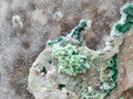 Natural Drusy Coated Copper Dolomite with Malachite Specimen x 1 From Lupoto Mine, Congo