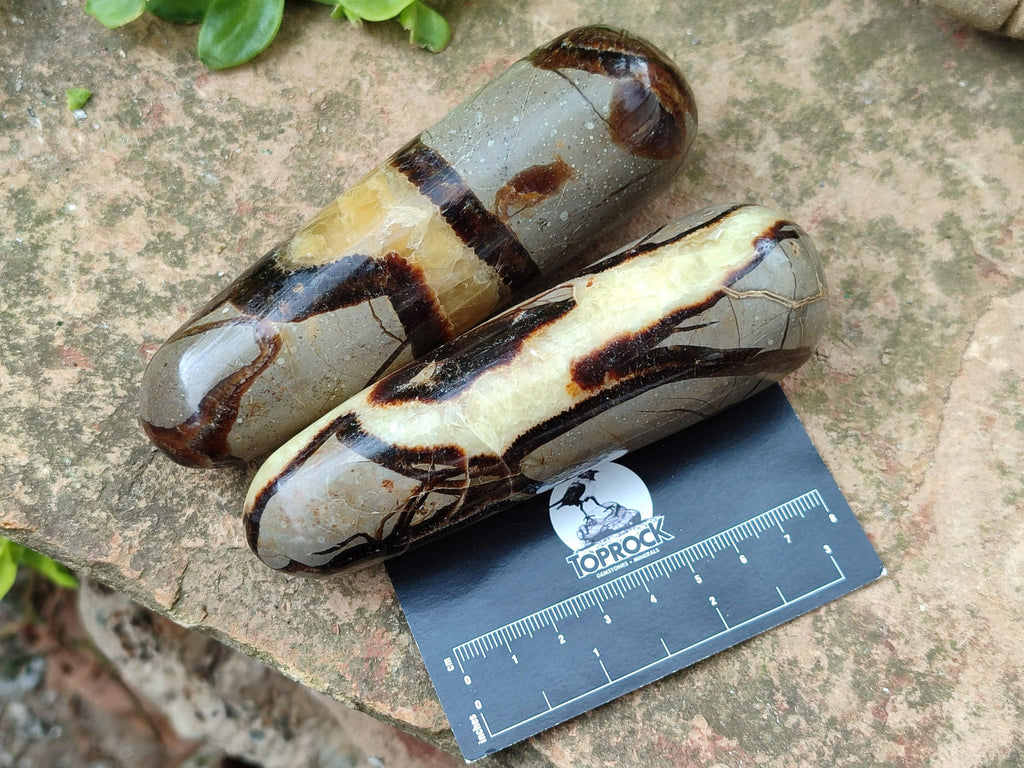 Polished Septerye Massage Wands x 6 From Mahajanga, Madagascar