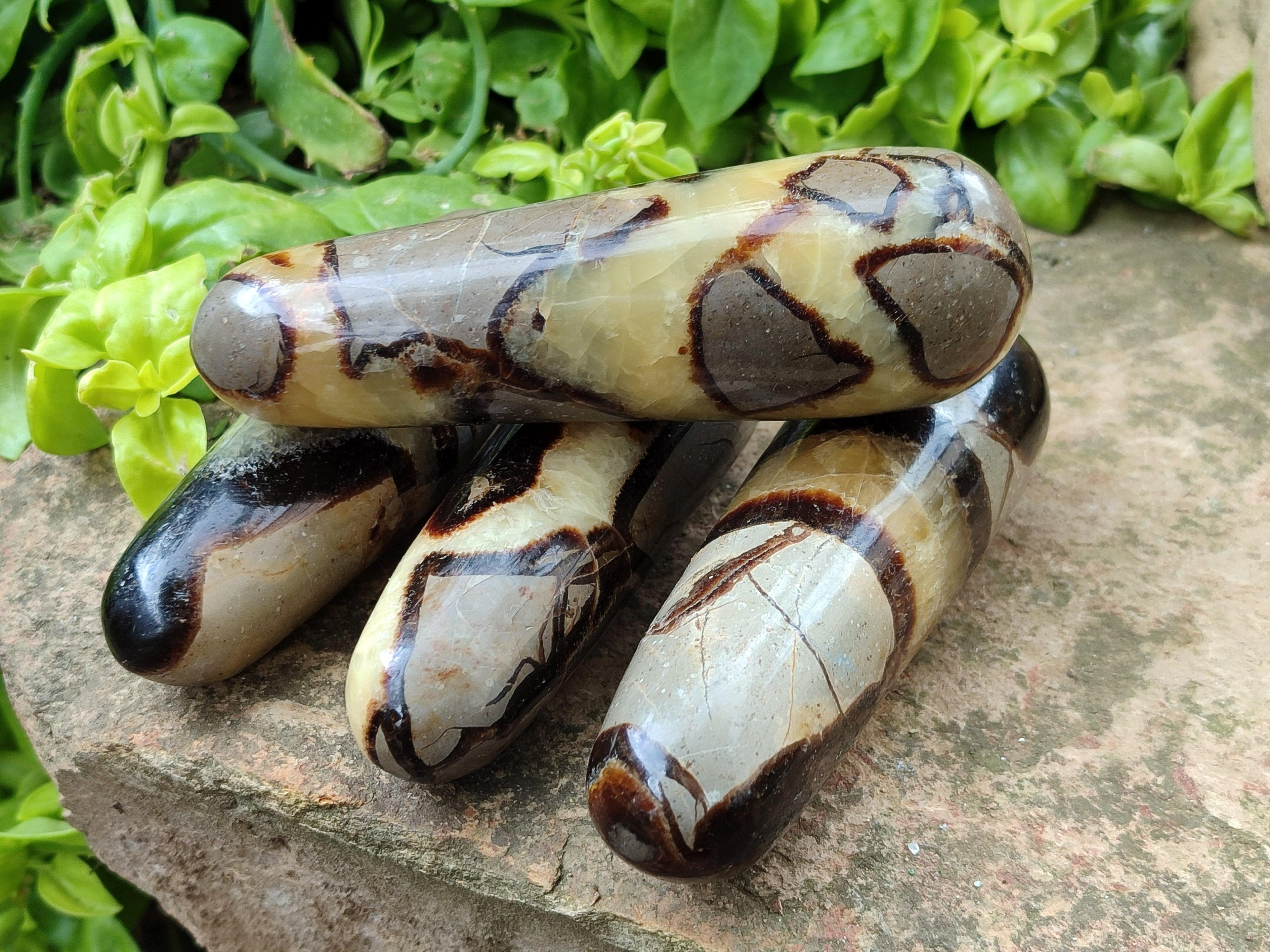 Polished Septerye Massage Wands x 6 From Mahajanga, Madagascar
