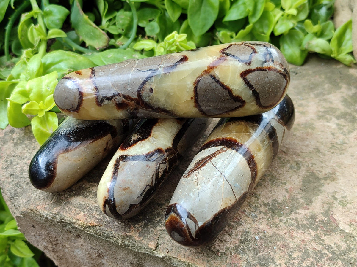 Polished Septerye Massage Wands x 6 From Mahajanga, Madagascar