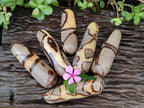 Polished Septerye Massage Wands x 6 From Mahajanga, Madagascar
