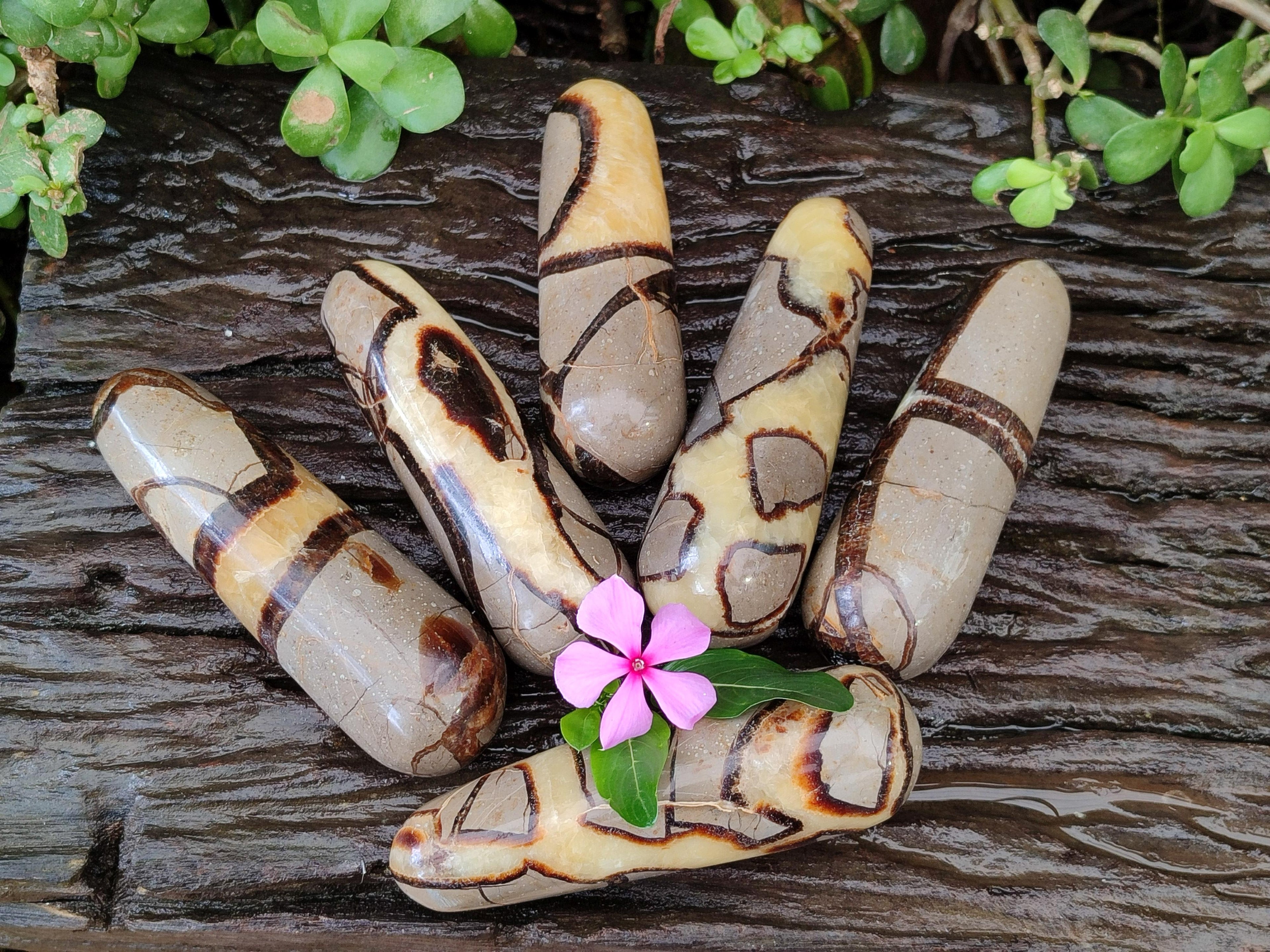 Polished Septerye Massage Wands x 6 From Mahajanga, Madagascar