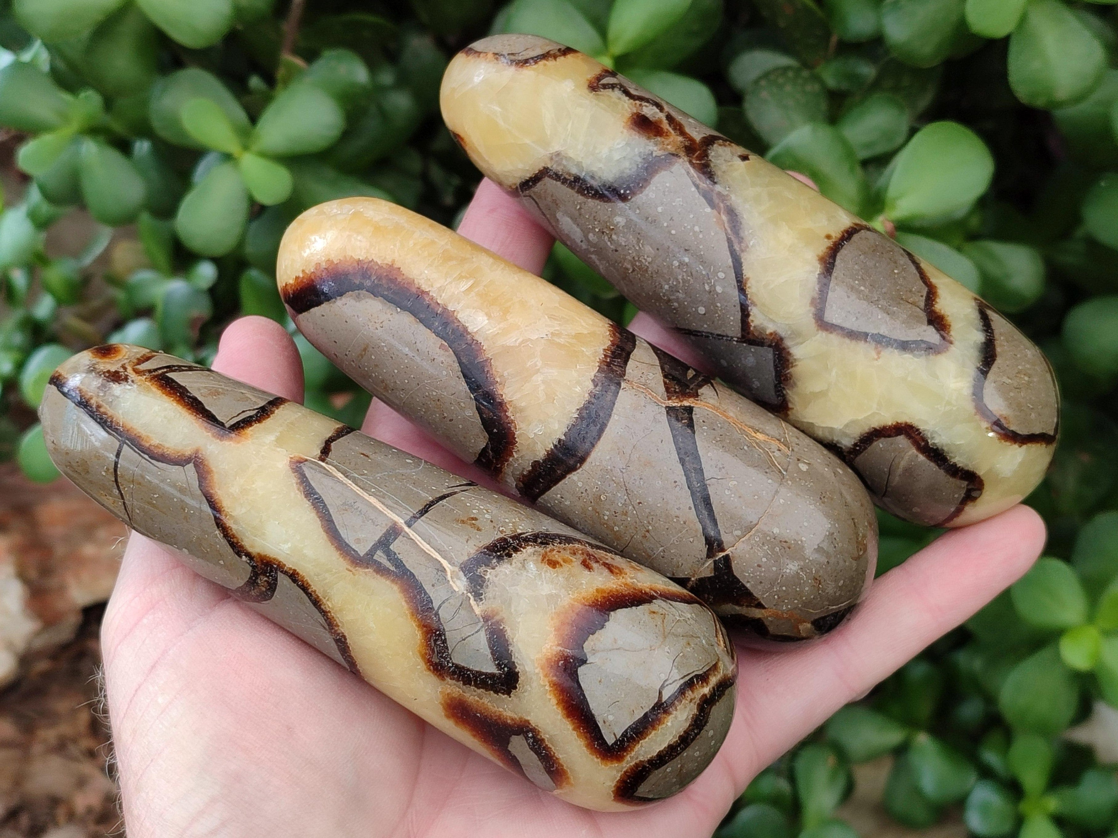 Polished Septerye Massage Wands x 6 From Mahajanga, Madagascar