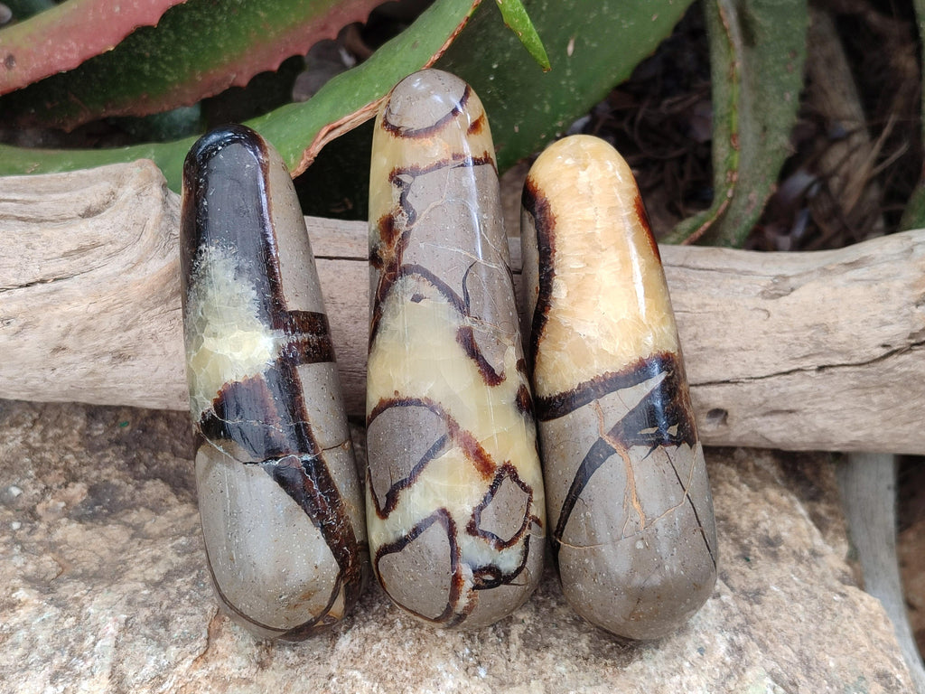 Polished Septerye Massage Wands x 6 From Mahajanga, Madagascar