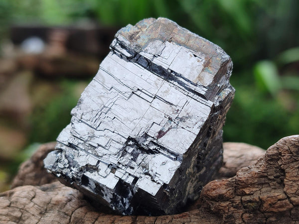 Natural Bright Silver Lead Galena Cobbed Specimens x 12 From Kaokoveld, Namibia