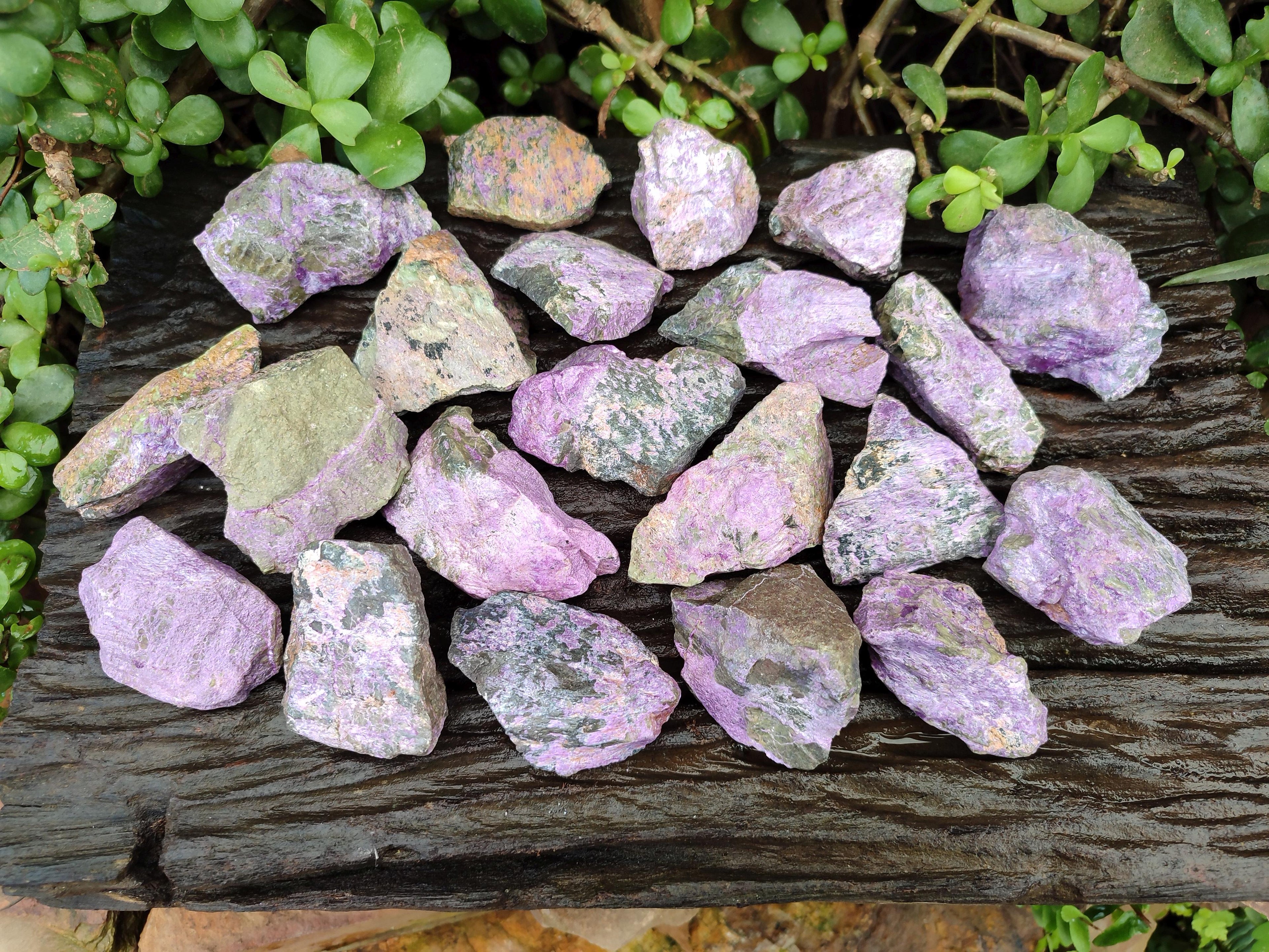 Natural Stichtite Cobbed Specimens x 35 From Barberton, South Africa