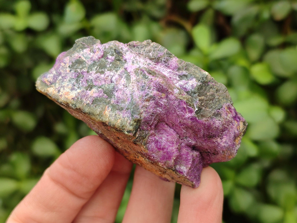 Natural Stichtite Cobbed Specimens x 35 From Barberton, South Africa