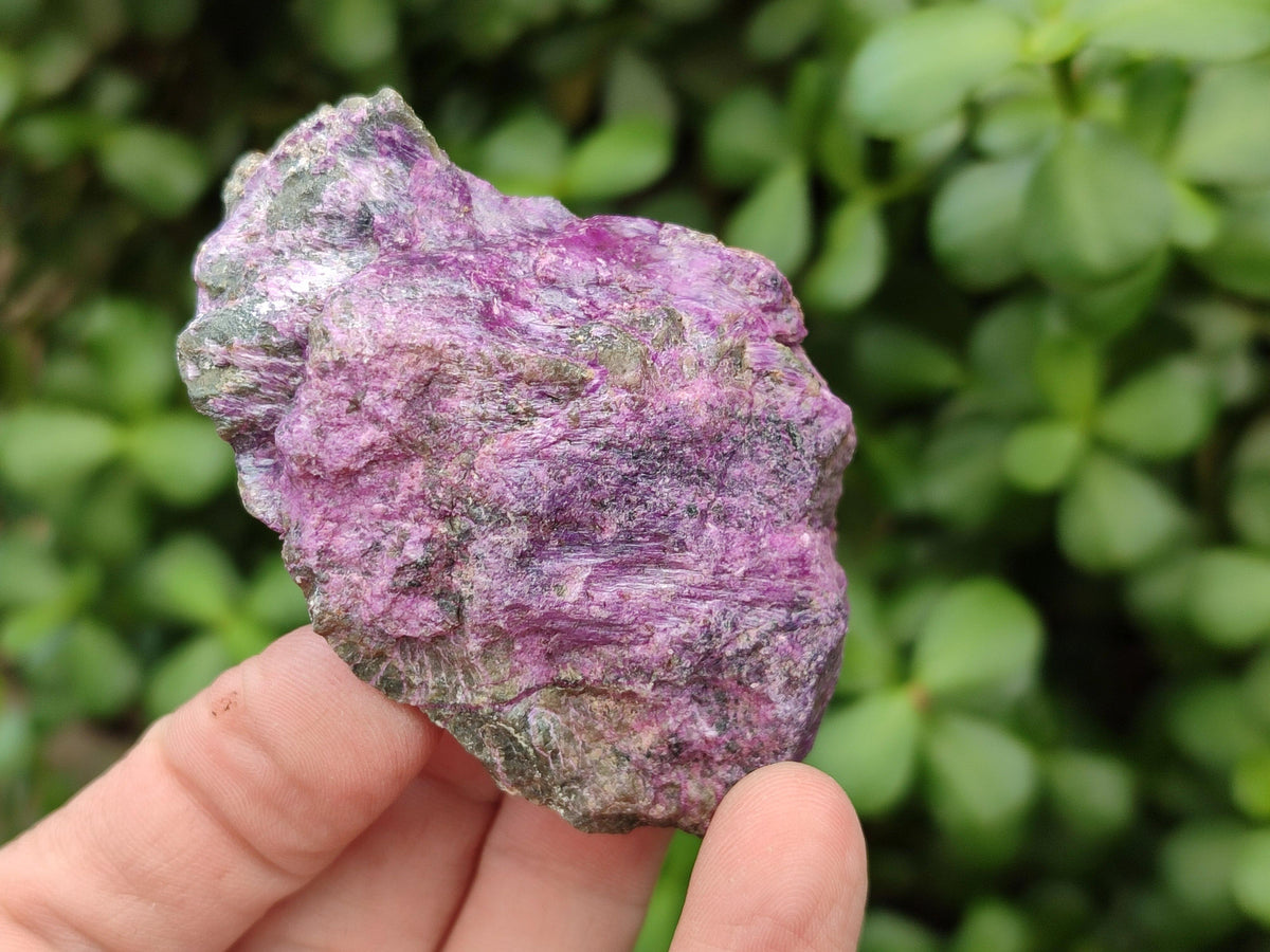 Natural Stichtite Cobbed Specimens x 35 From Barberton, South Africa